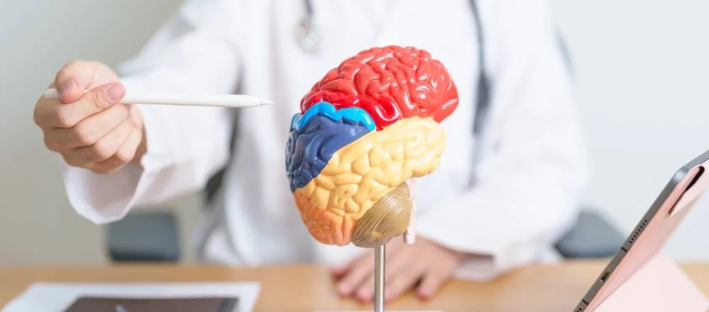 neurociencias en el aula