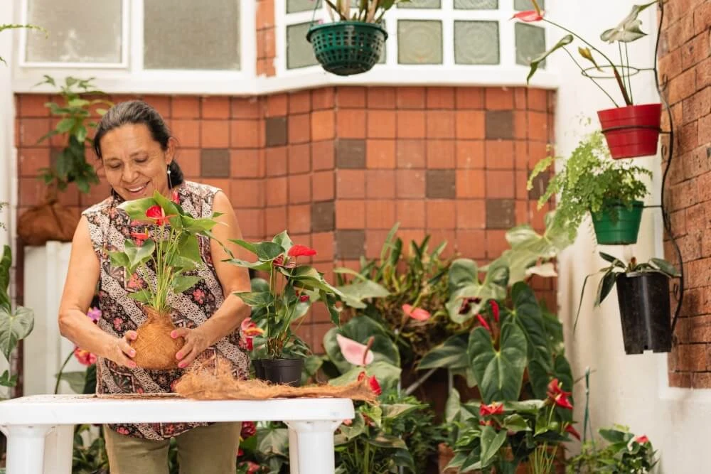 Hogar sostenible, tendencias que cuidan tu bolsillo y el planeta