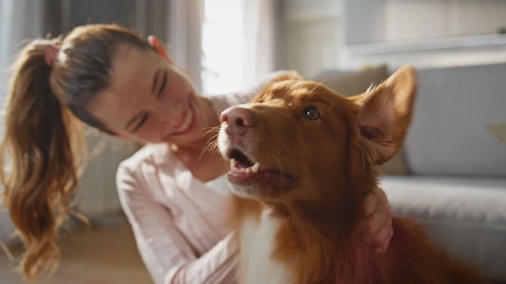 Cómo los animales de compañía fortalecen tu salud emocional