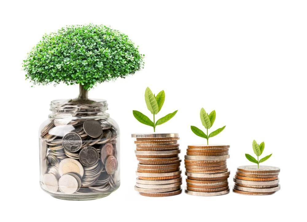Bootstrapping: crecer tu empresa con recursos limitados