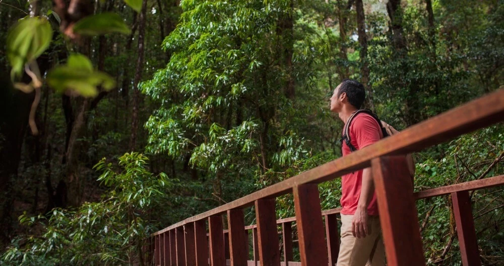 Turismo de naturaleza, Jardines botánicos y parques urbanos