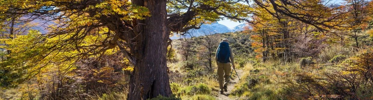 actividades recreativas