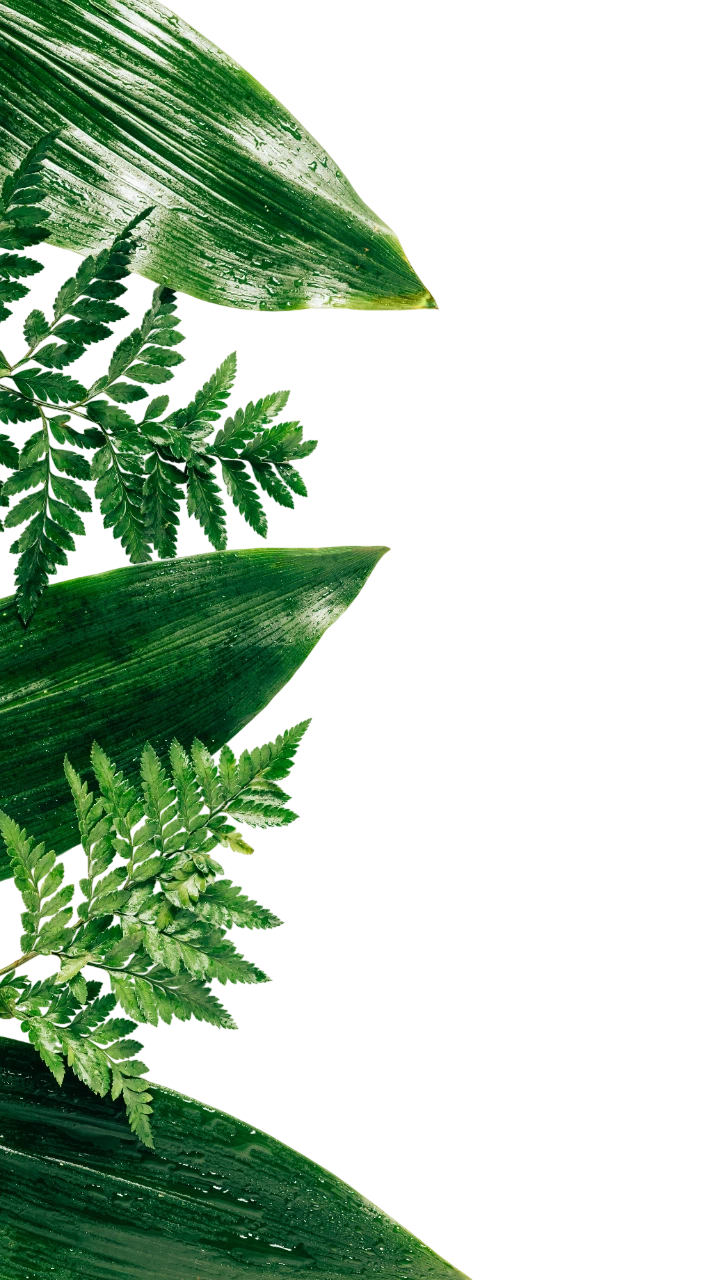 Rutas de senderismo seguras para principiantes. 